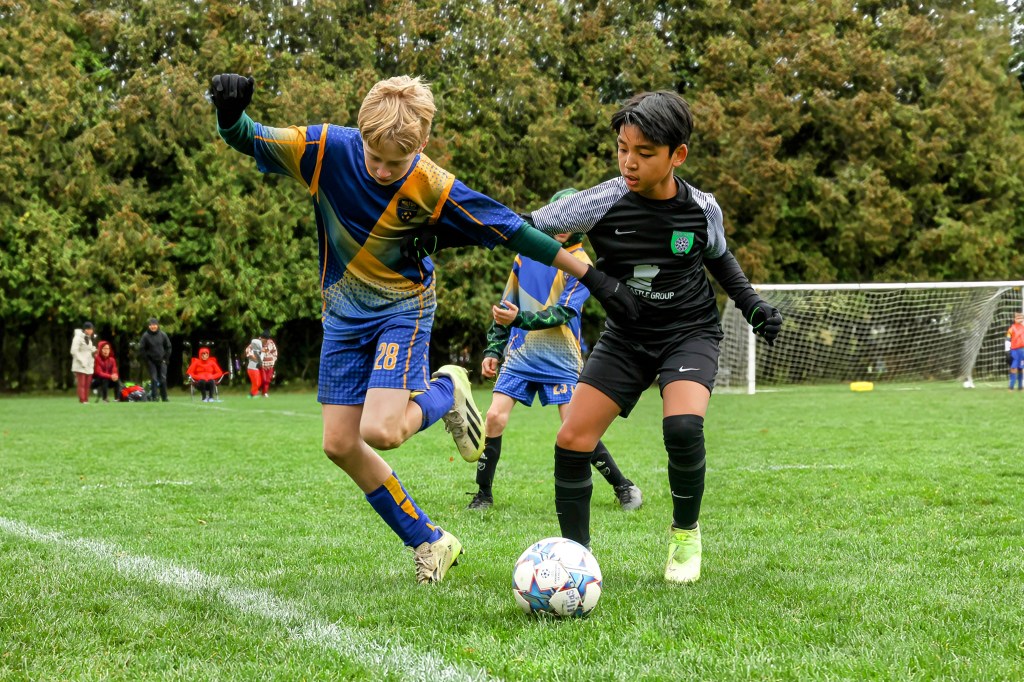 Vermont State Cup